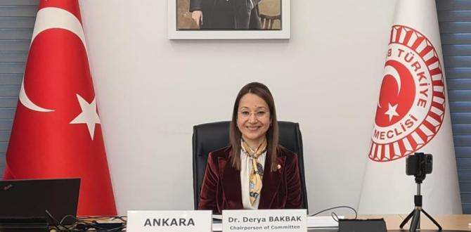 Dr. Derya Bakbak, GDA-PA Ekonomi, Altyap? ve Enerji Komitesi Toplant?s?nda konu?tu