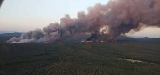 Marmaris’te Orman Yangını