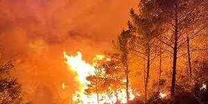 Mersin’de Orman Yangını
